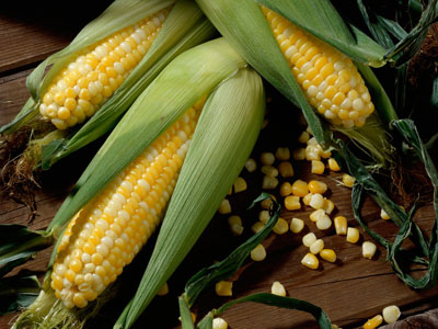corn market analysis